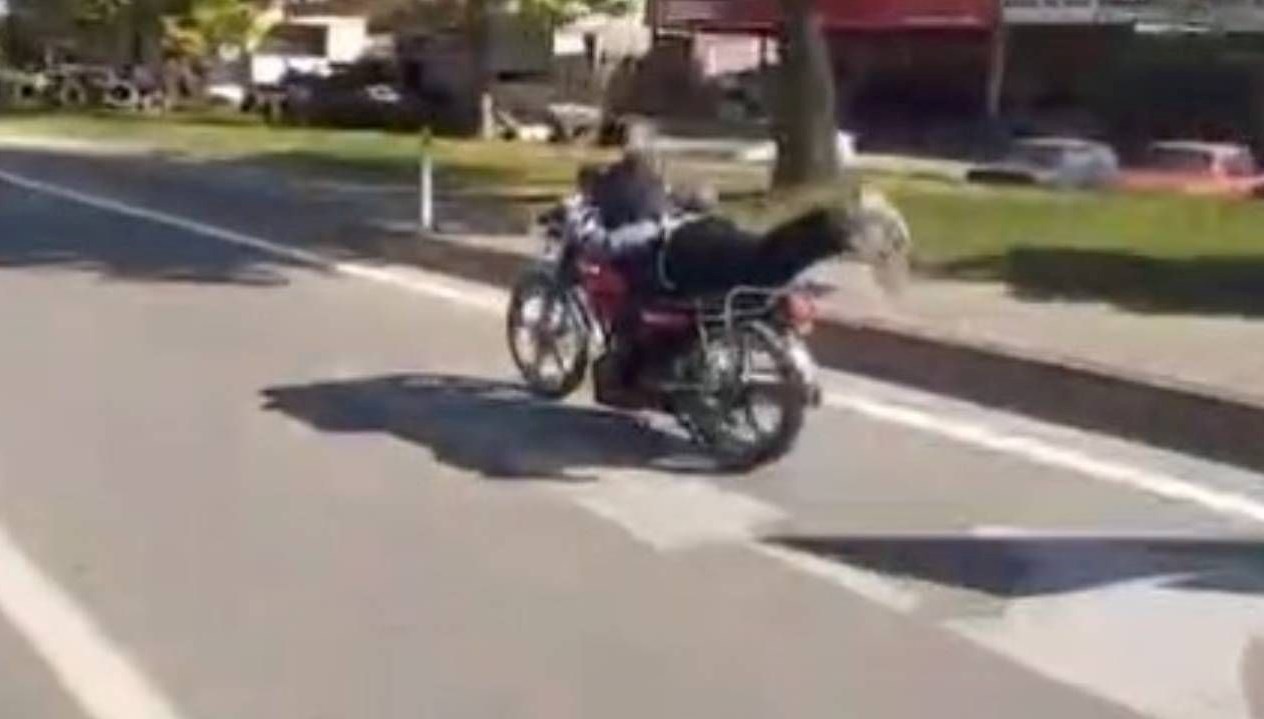 akrobatik hareketler pahaliya patladi 42 bin tl ceza dD9GWKem