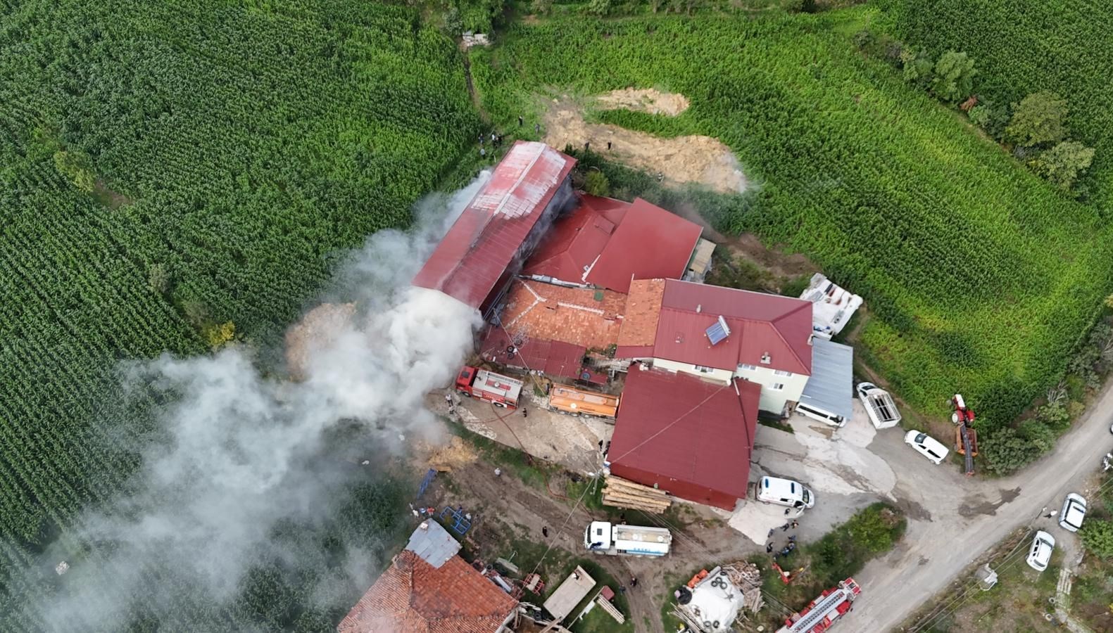 samsunda samanlik yanginda hasar gordu x3sY65jk