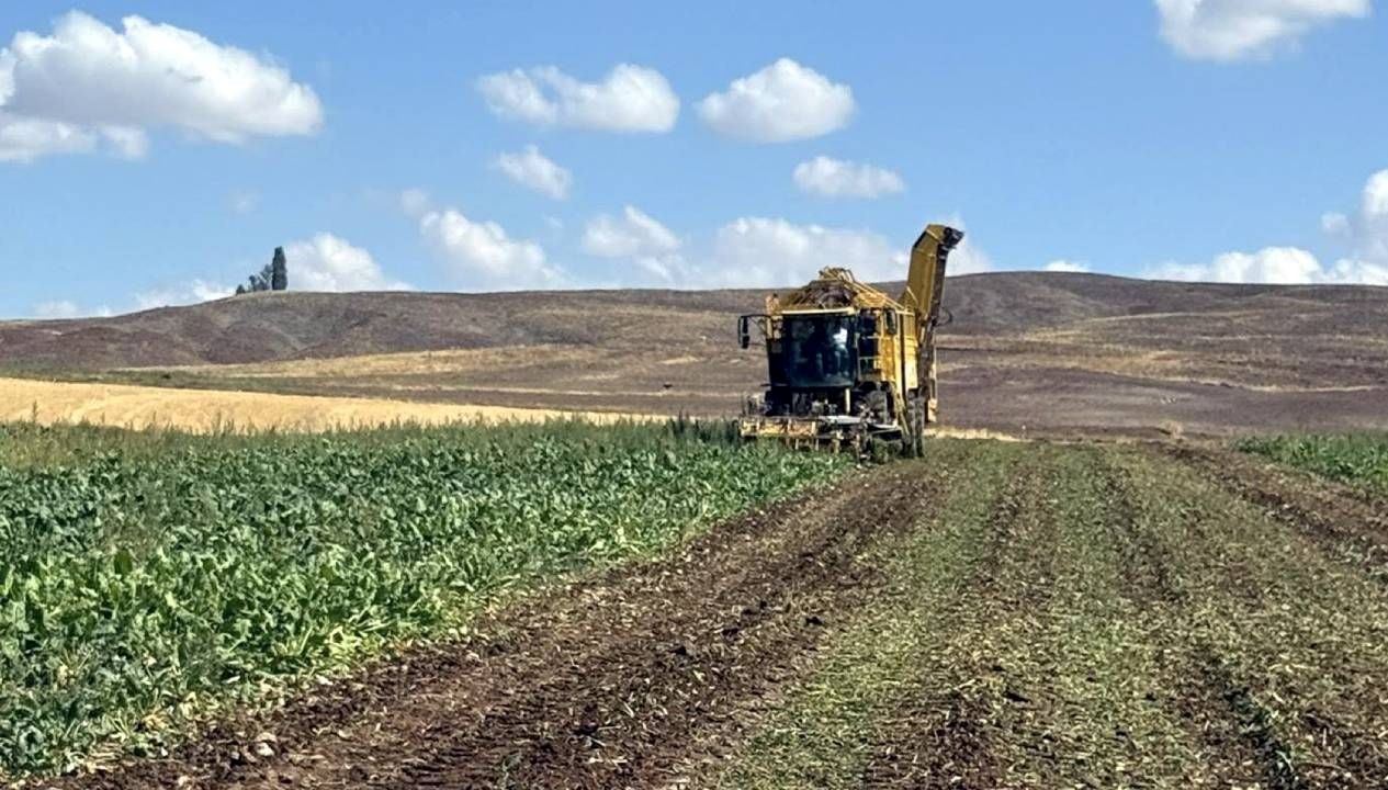 sivasta pancar hasadi basladi tFGc16di