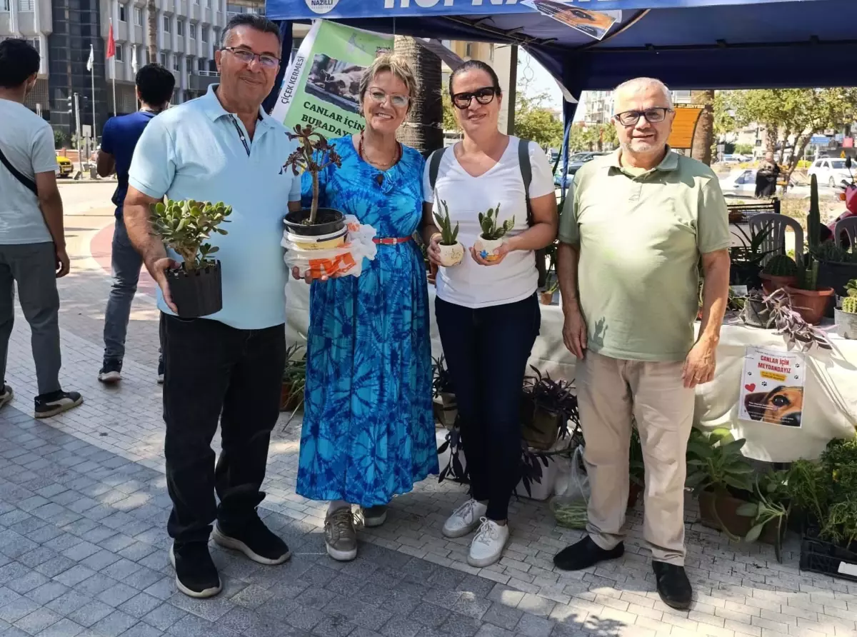 emekli ogretmenin sokak hayvanlarina destek kermesi USwRJRfU