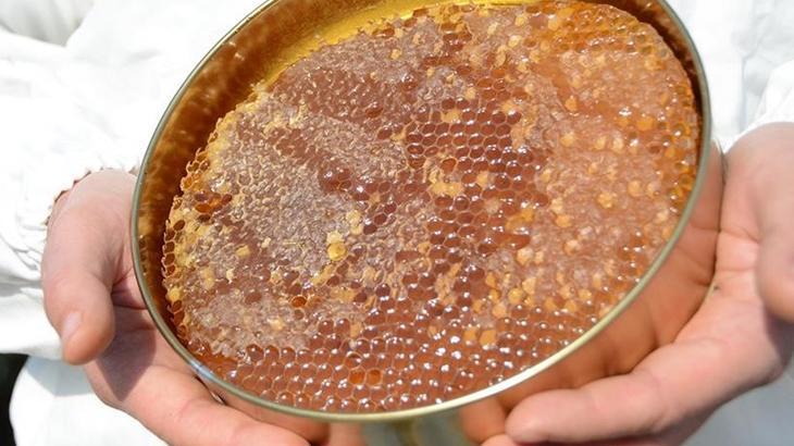 turk balinda 234 milyon dolarlik ihracat gerceklestirildi smnaq2tR.jpg