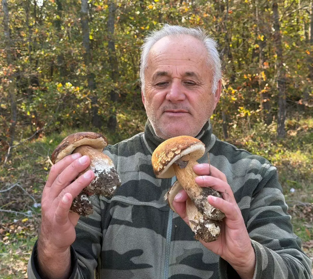 istranca ormanlarinda mantar populasyonu kuraklik nedeniyle dusuyor C4ecmDlC.jpg