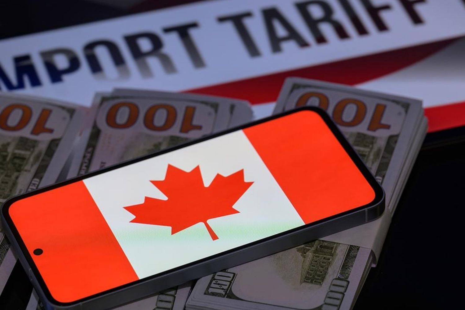 kanada abdnin tarifeleriyle mucadelede 141 milyar dolarlik harcamayi ongoren butce tasarisi sundu 4bINtnIS.jpg