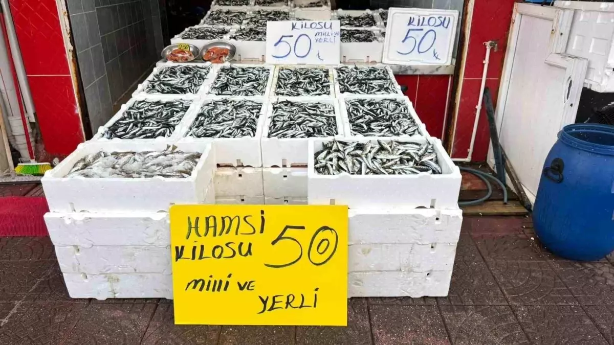 rizede hamsi fiyatlari 50 tlye duserek vatandasin yuzunu guldurdu Xaf64Y2h.jpg