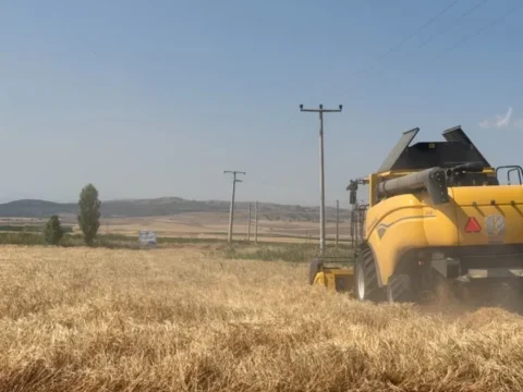 Eskisehirde 77 tonluk arpa hasadi KKtqYpqS