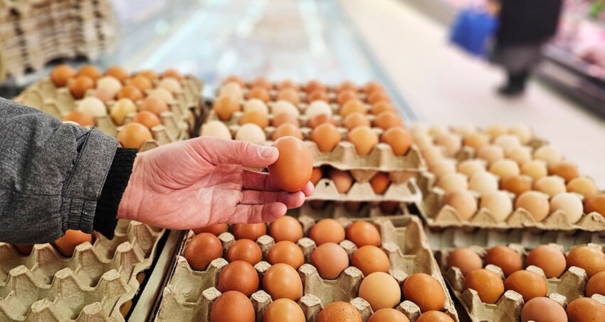 Gida krizi giderek buyuyor milyonlarca yumurta icin alarm verildi dnU1yzna